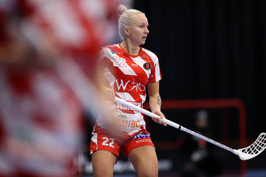 Pixbos Laura Manninen