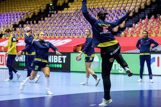 Emma Rask and goalkeeper Filippa Idehn of Sweden