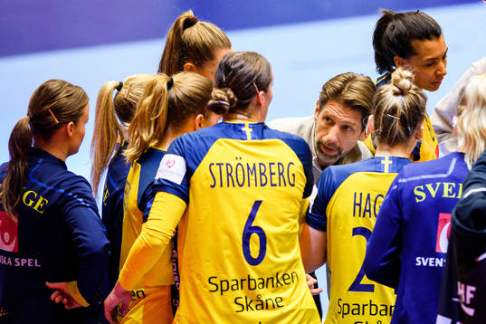Tomas Axner, head coach of Sweden