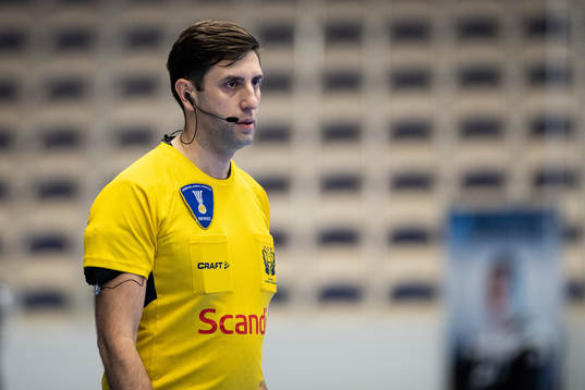 domare Mirza Kurtagic