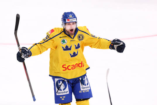 Linus Johansson of Sweden celebrates the 3-1 goal