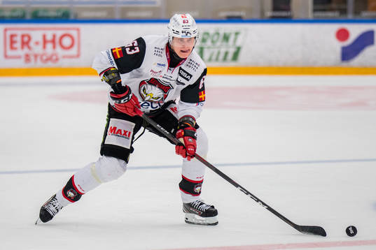 Malmö Redhawks Fredrik Händemark