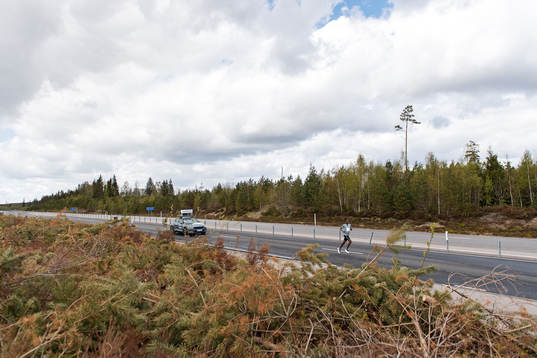 This picture is part of Bildbyrån’s selection of the