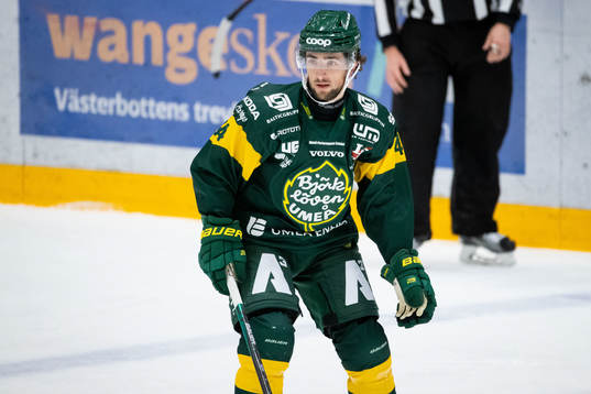 Björklövens Grant Besse