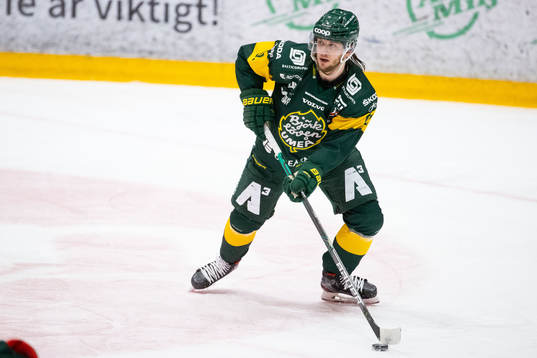 Björklövens Daniel Norbe