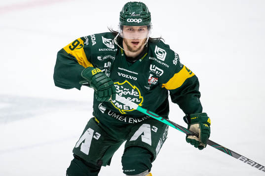 Björklövens Daniel Norbe