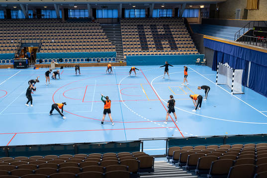 Helsingborgs spelare