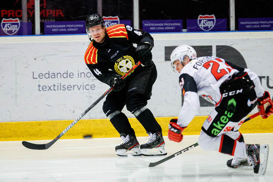 Brynäs Nicklas Danielsson och Malmö Redhawks Christoffer