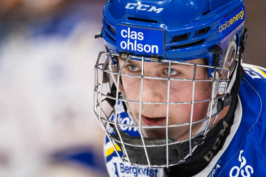 Leksands Arvid Eljas