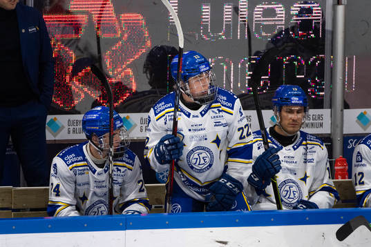 Leksands Arvid Eljas