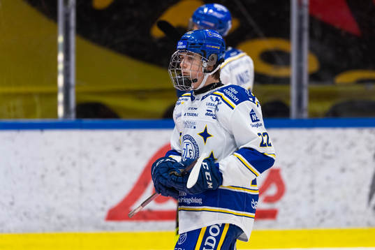 Leksands Arvid Eljas deppar