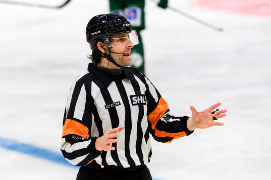 Domare Mikael Sjöqvist