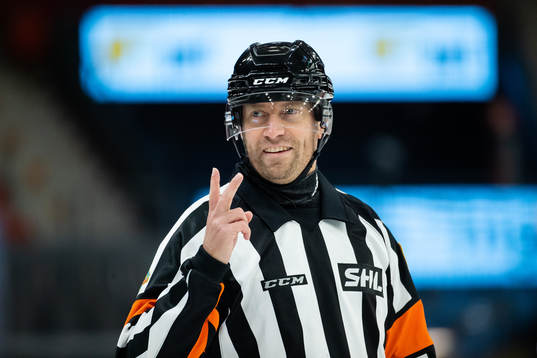 Domare Sören Persson