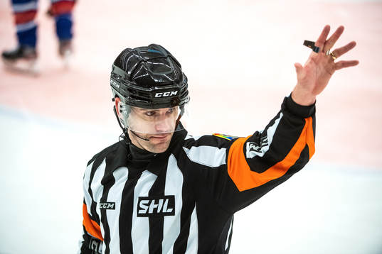Domare Richard Magnusson