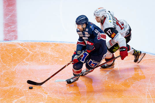 Linköpings Jonas Holös och Malmö Redhawks Pathrik
