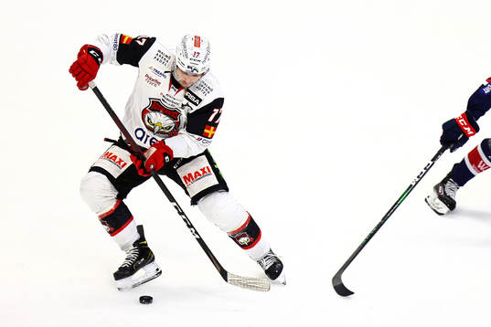 Malmö Redhawks Pathrik Westerholm
