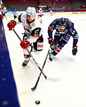 Malmö Redhawks Pathrik Westerholm och Linköpings Jonas