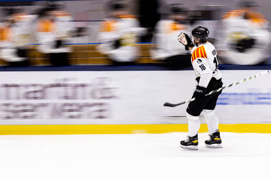 Brynäs Anton Rödin jublar
