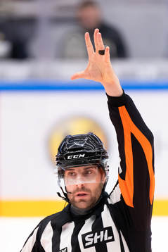 Domare Mikael Sjöqvist