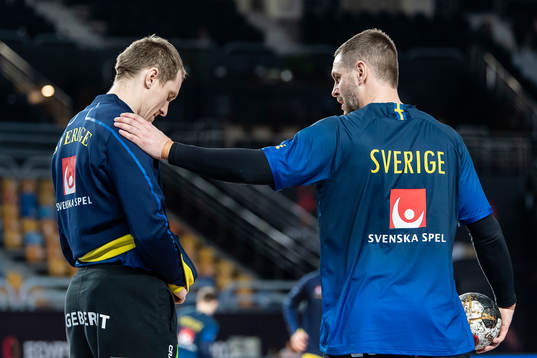 goalkeeper Mikael Aggefors and goalkeeper Andreas Palicka