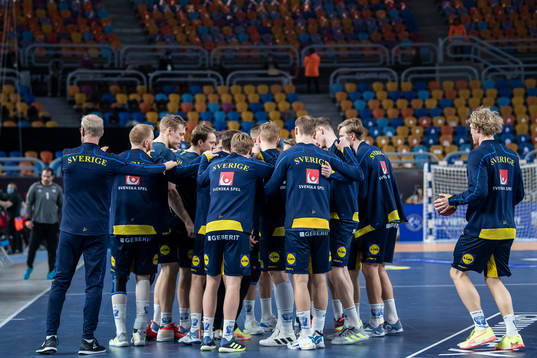 Players of Sweden gathers