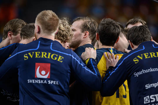 Players of Sweden gather