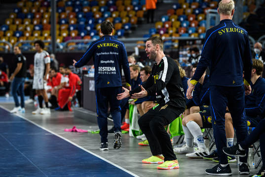 Goalkeeper Andreas Palicka of Sweden reacts