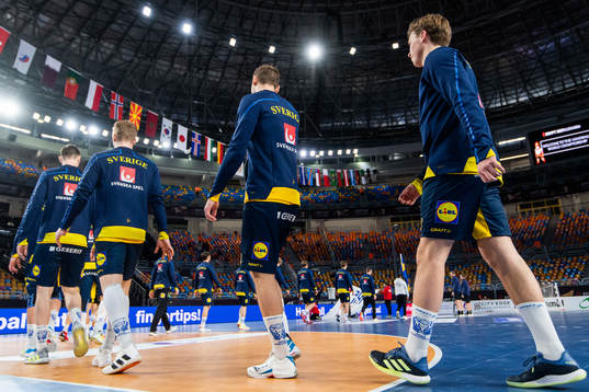 Players of Sweden