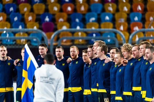 Players of Sweden