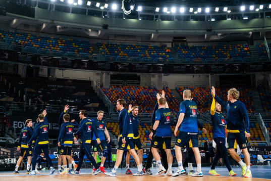 Players of Sweden
