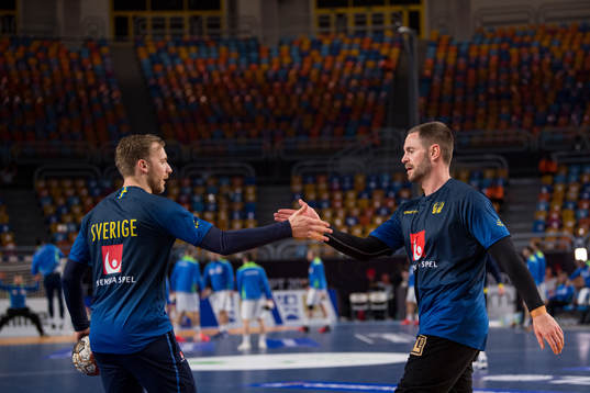Daniel Pettersson and goalkeeper Andreas Palicka of Sweden