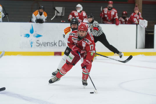 Modos Erica Rieder och Brynäs Anna Meixner