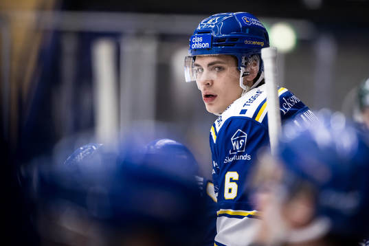 Leksands Alexander Lundqvist