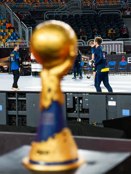 Goalkeeper Andreas Palicka of Sweden is seen behind the