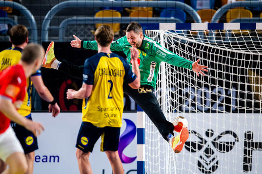 Goalkeeper Andreas Palicka of Sweden