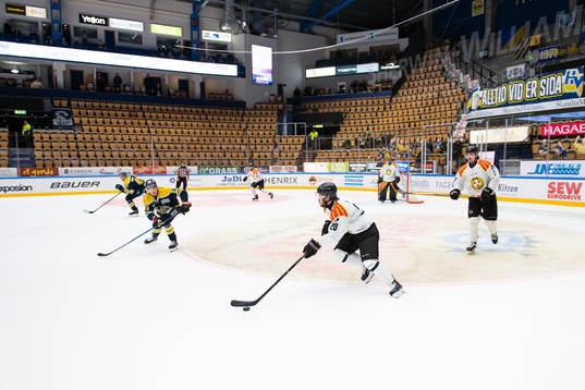 Brynäs Oula Palve