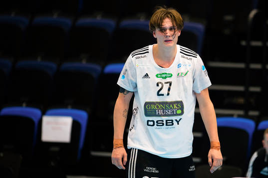 Helsingborgs Johan Palm deppar
