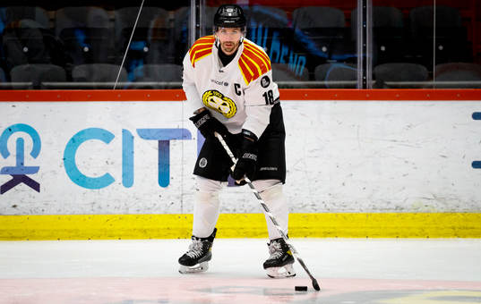 Brynäs Anton Rödin