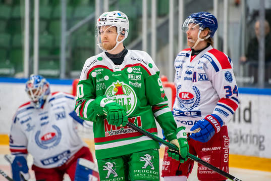 Rögles Ted Brithén