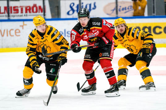 Luleås Einar Emanuelsson och Skellefteås Jesper Frödén