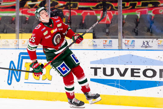 Frölundas Elmer Söderblom deppar