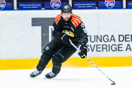 Brynäs Anton Rödin