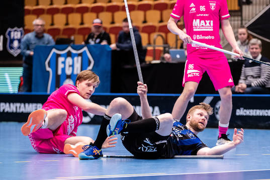 Helsingborgs Max Wahlgren