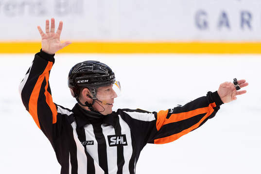 Domare Womler Edqvist
