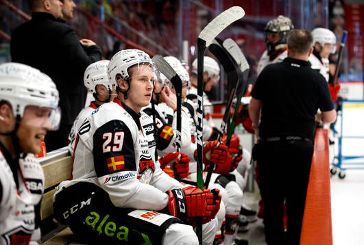 Malmö Redhawks Eric Engstrand deppar