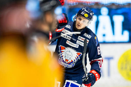 Linköpings Markus Ljungh jublar