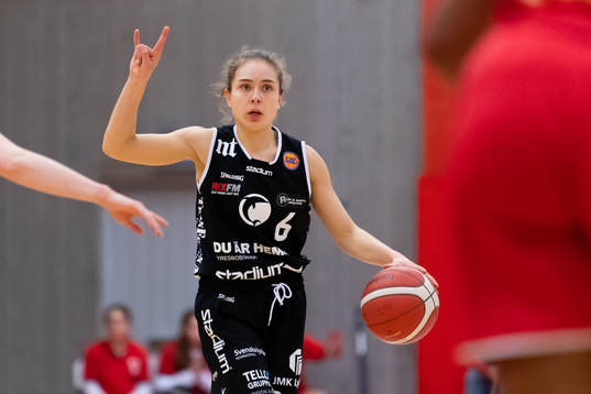 Norrköpings Lovisa Hjern