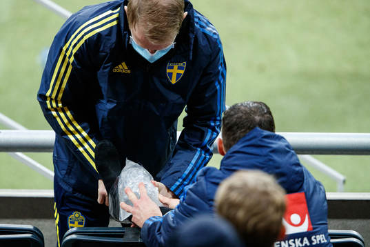 Marcus Berg of Sweden receives medical attention