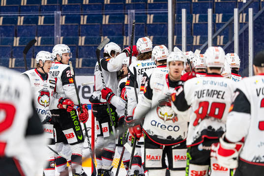 Malmö Redhawks spelare jublar