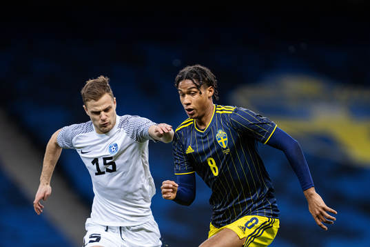 Rauno Sappinen of Estonia and Jens-Lys Cajuste of Sweden